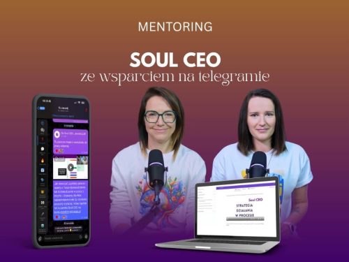 Soul CEO - mentoring biznesowy